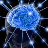 Neurologia e Neurologista em Vinhedo